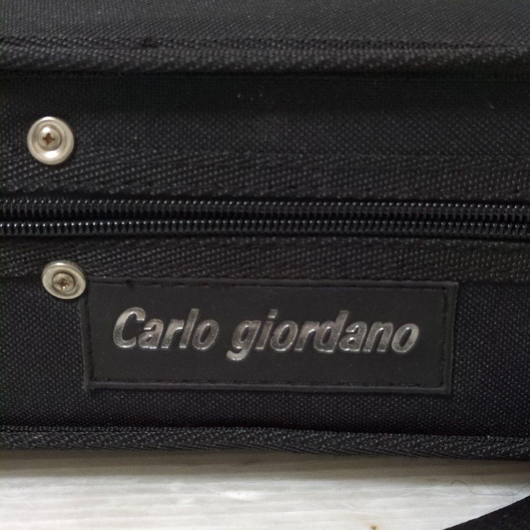Carlo giordano EV-202 カルロジョルダーノ エレキバイオリン