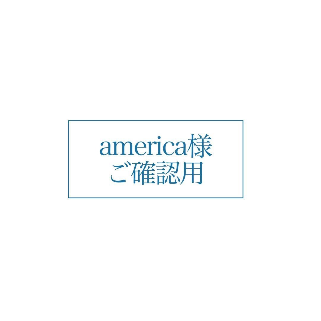america様 ご確認用ページ