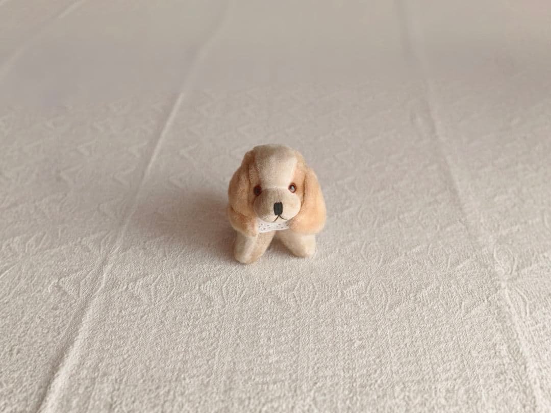 * vintage dog ❀ * 淡いツートーンの可愛い ワンちゃん