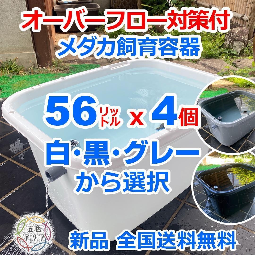 【新仕様】メダカ飼育ケース 56㍑x4個 白黒灰選択可 オーバーフロー加工済
