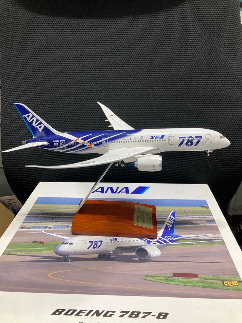 ANA B787-8 特別塗装機 1/200