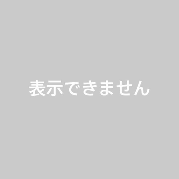 GOYARD ショルダーバッグ