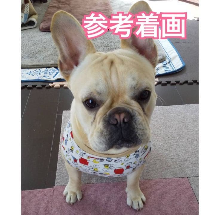 着画