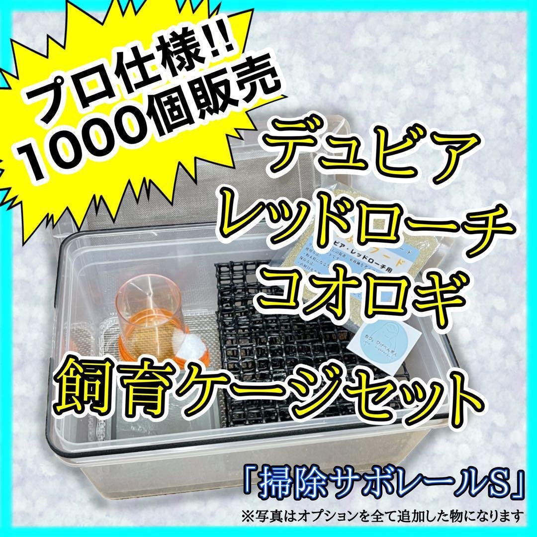 がくじん様　S (シェ)