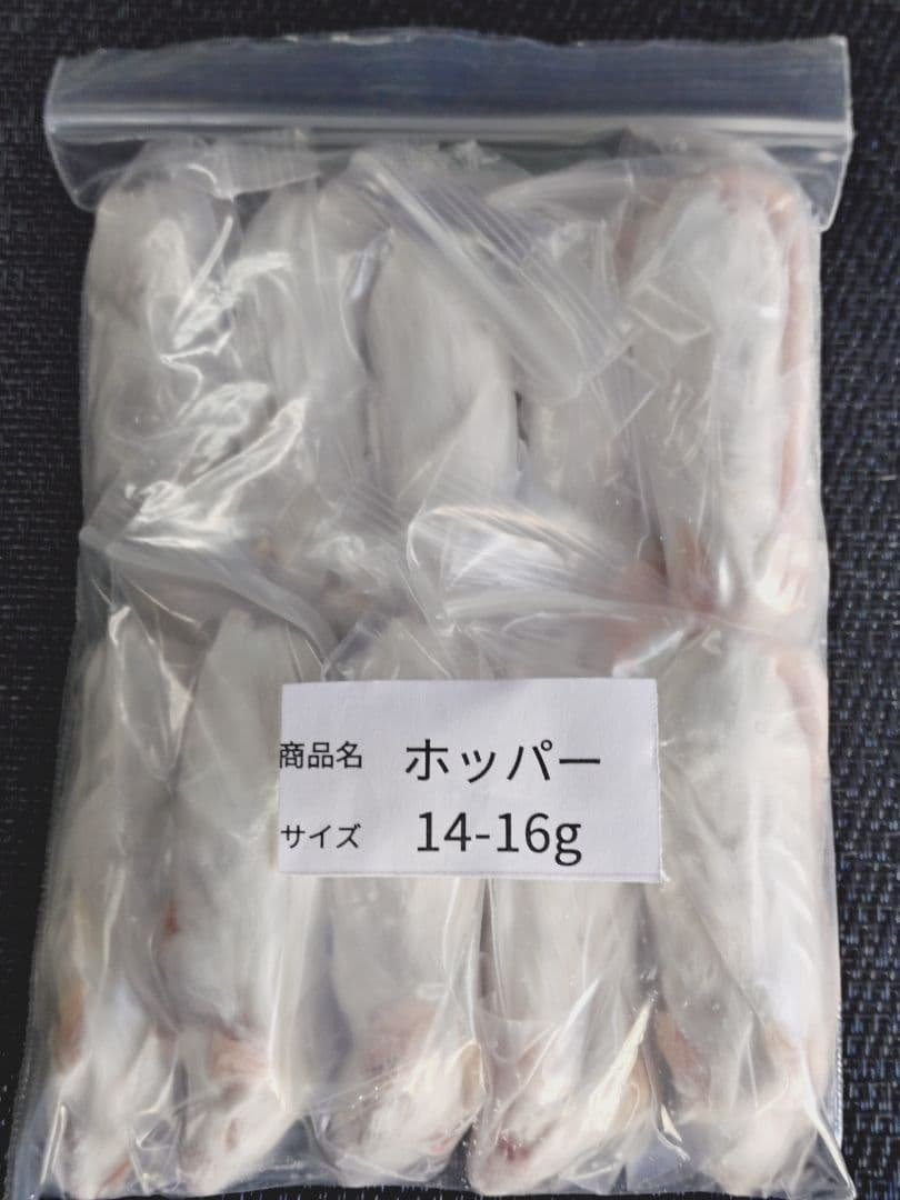 送料無料 冷凍マウスファジーS100匹　ホッパー20匹