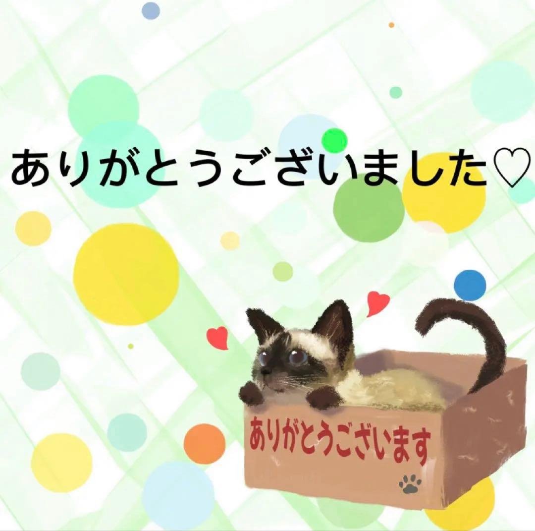 【8521】海外　マステ　5m巻売り　PETマスキングテープ