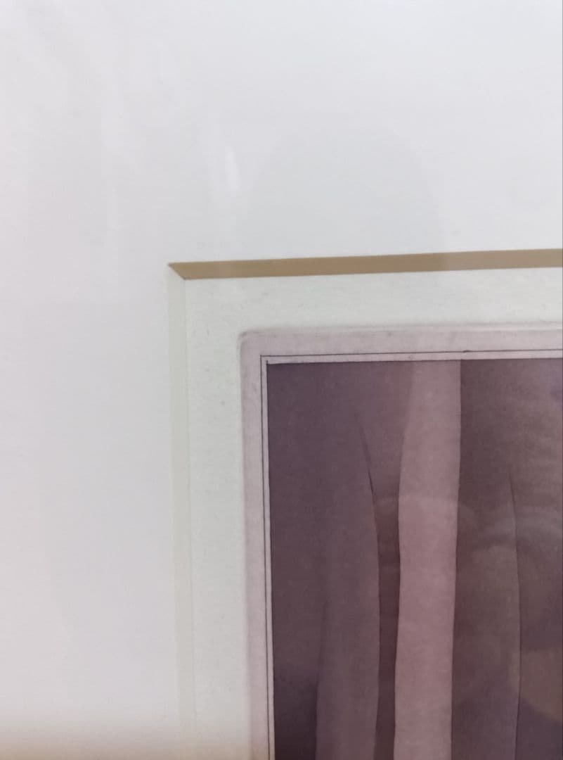 さ*な様 ジャン=ミッシェル　フォロン　版画