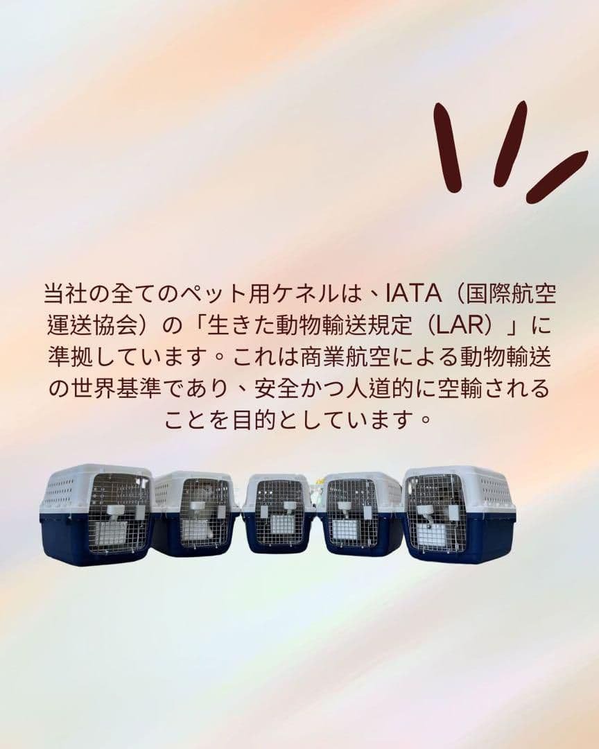猫犬　ケージ クレート　ペットパレス BB45 移住　お出かけ 輸送